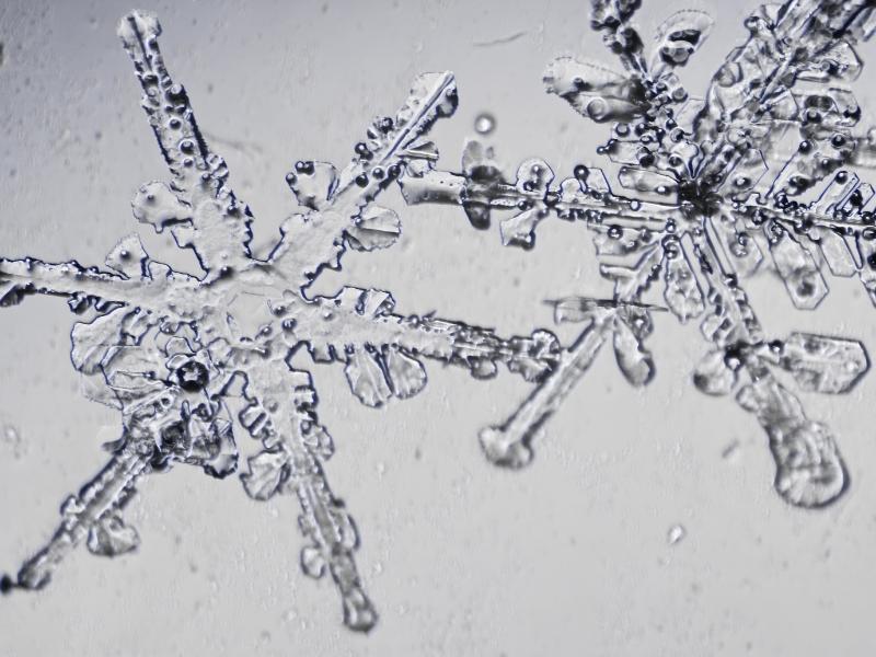 Real snowflakes during a snowfall