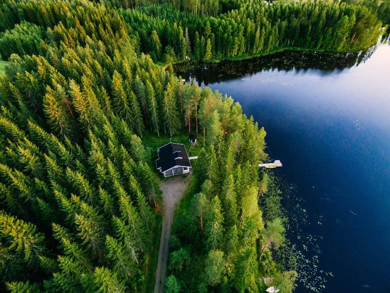 Pine forest, wooden cottage, and lake in Finland