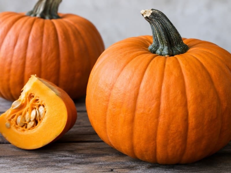 32 Juicy Facts About Pumpkins: Harvest Highlights