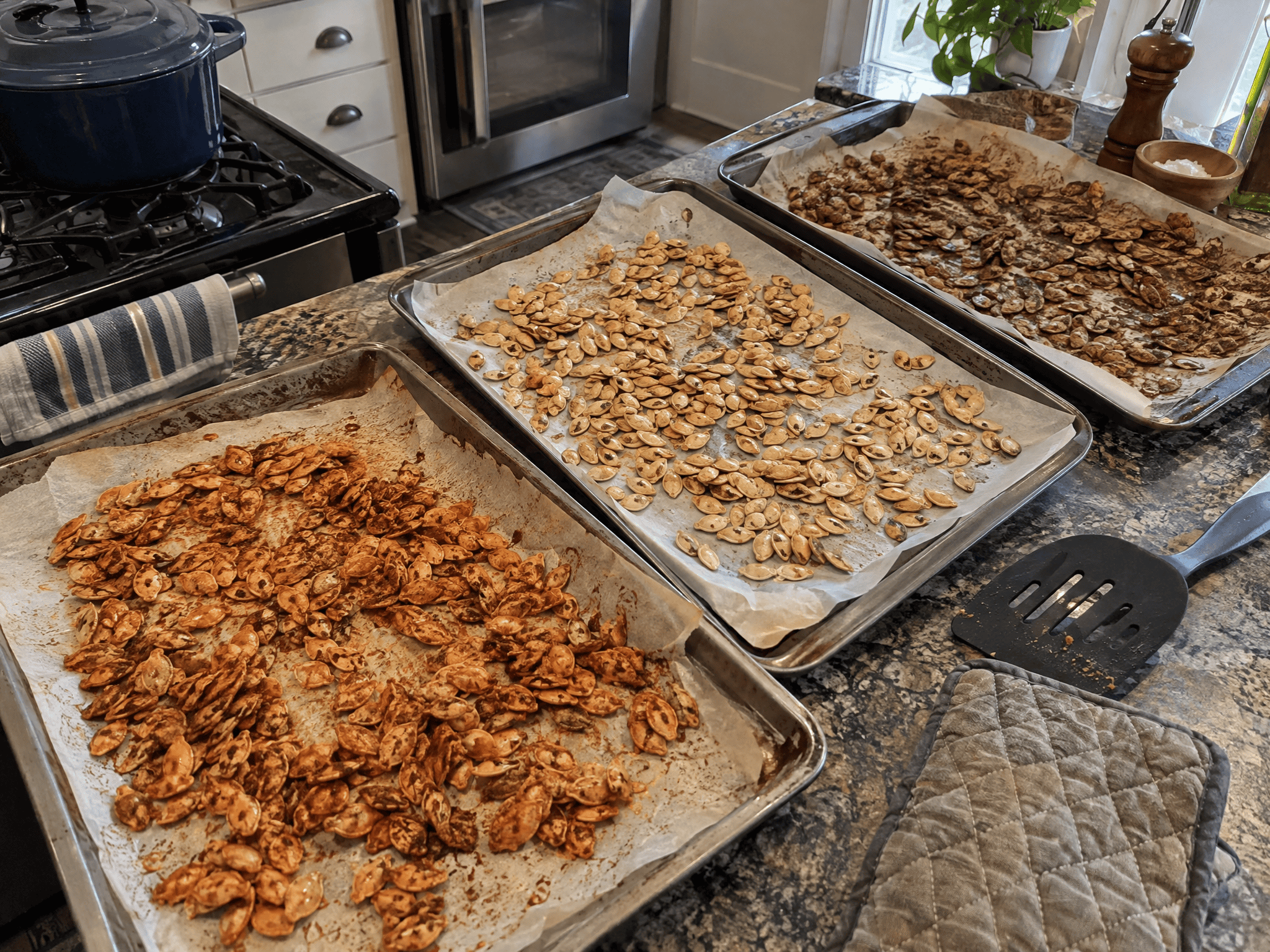 Multiple parchment-lined sheet pans with different batches of seasoned pumpkin seeds on a kitchen counter