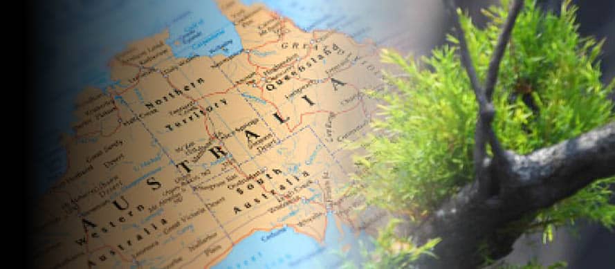 Market Update | Green Shoots in Australia