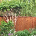 Natural Cedar On Cedar