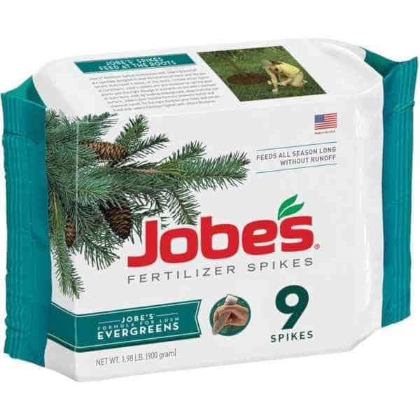 jobes fertilizer spikes for evergreens