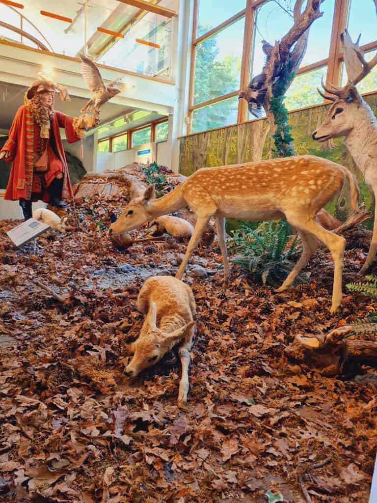 Centro de visitantes del Parque Phoenix de Dublin