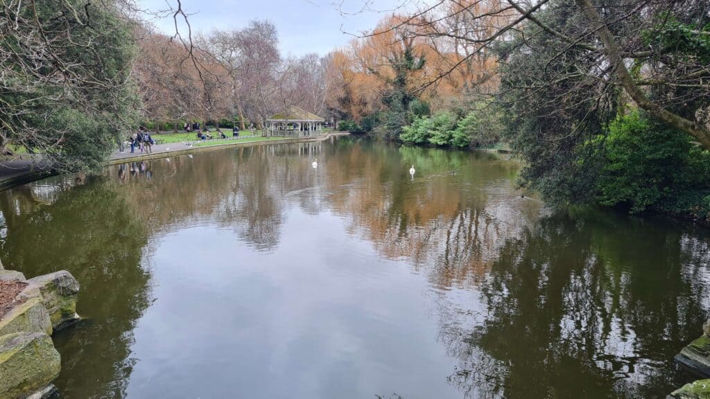 Saint-Stephen-green-dublin - laguna - pajaros - arboles