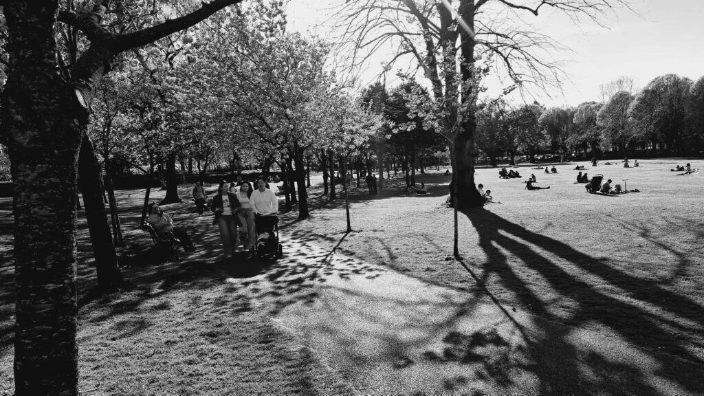 Parque Herbert en primavera foto blanco y negro
