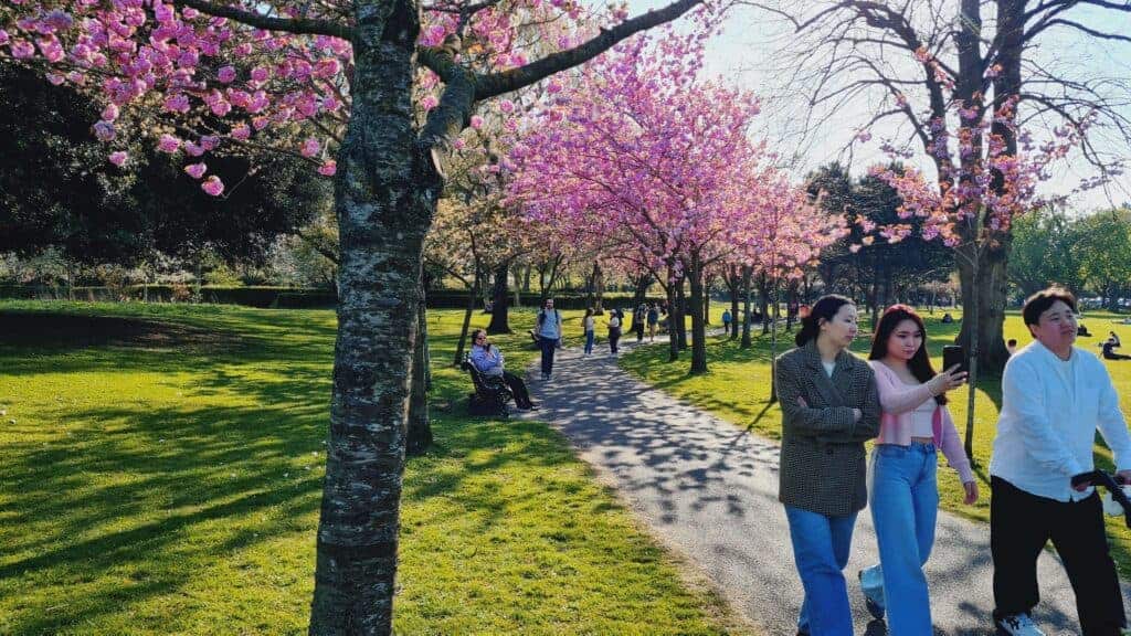 Parque Herbert en primavera . gente conversando