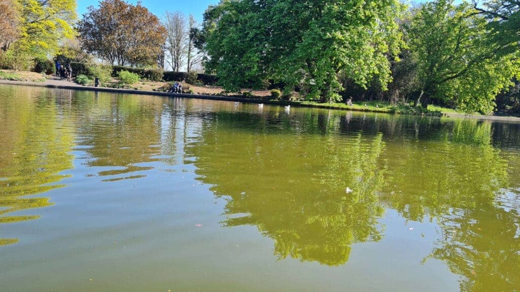Parque Herbert en primavera . gansos y laguna