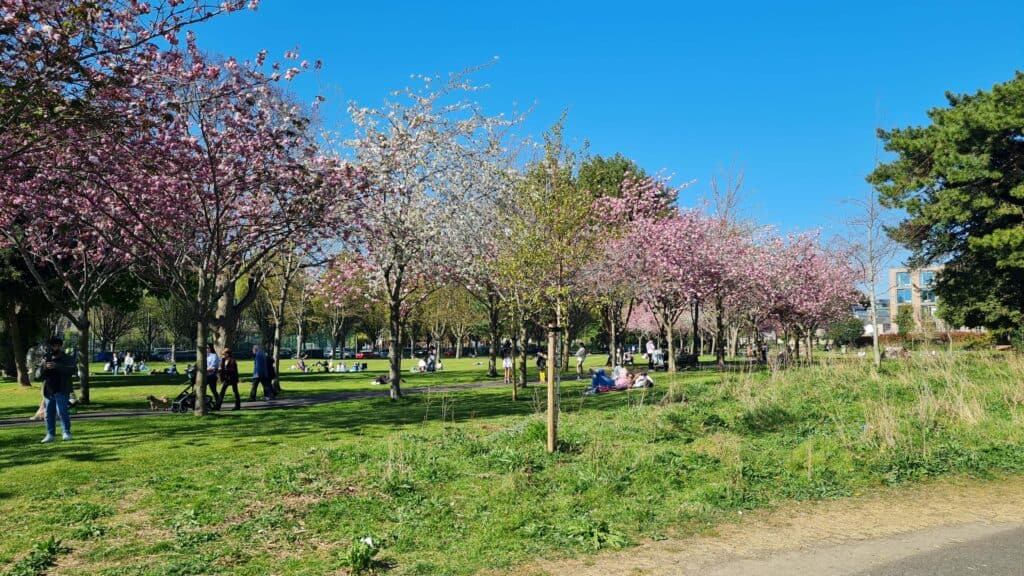 Parque Herbert en primavera