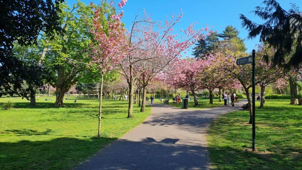 Parque Herbert en primavera