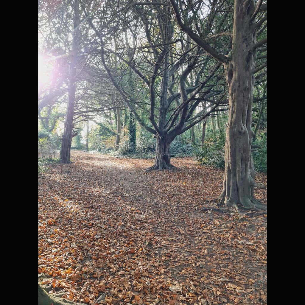 Parque-Saint-Annes-Dublin-holairlanda.com (9)