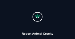 How to Report Animal Cruelty: Protect Animals & Abuse Guide