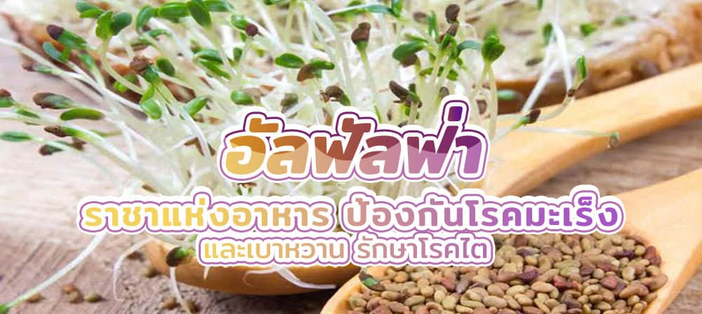 อัลฟัลฟ่า