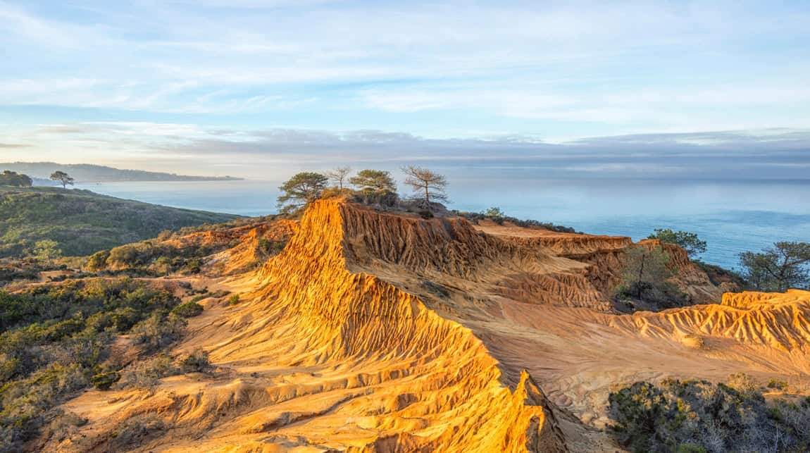 Torrey Pines