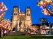 2021 Tree Lightings & Holiday Lights (San Francisco + Bay Area)