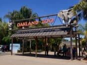 Free Family Admission to Oakland Zoo at Pop-Up Vaccine Clinic