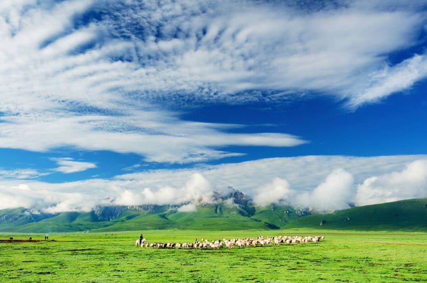 170428 tibet full