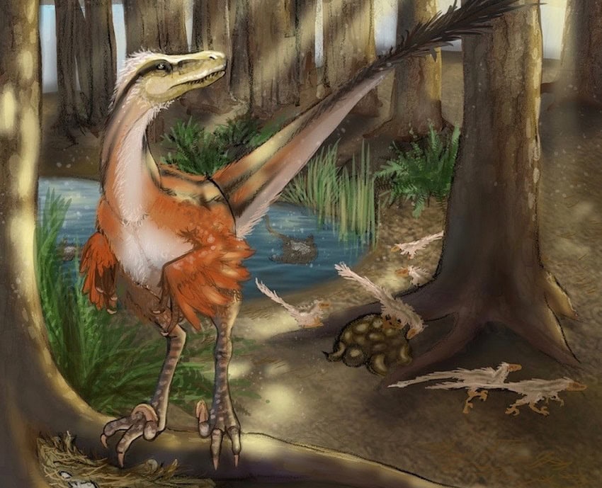 Dineobellator_dinosaur