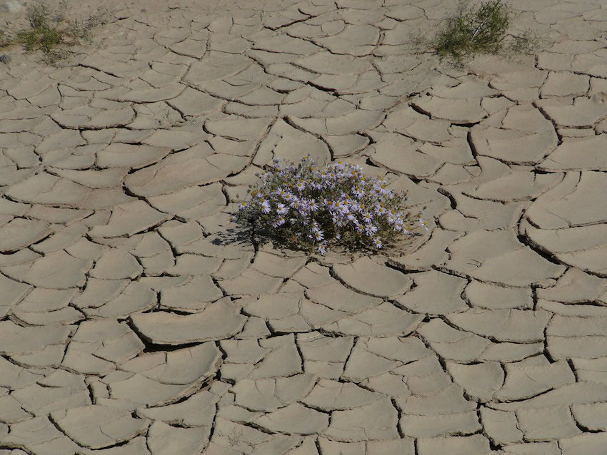 Dry soil