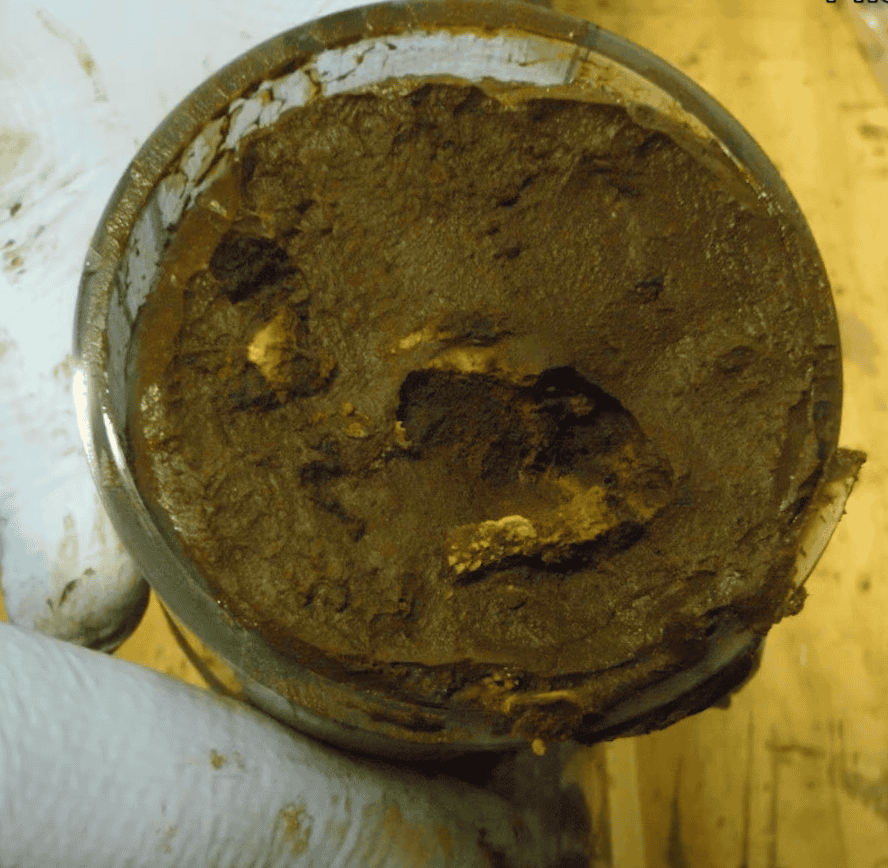 Microbial cells_core sample