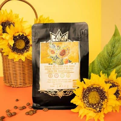 Cokain-致向日葵  Ethiopia Guji Uraga Tebe Harro Zenash74110 74112（2023 TOH冠軍）