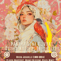 Cokain- Panama Dona Elivra Geisha Natural 紅標