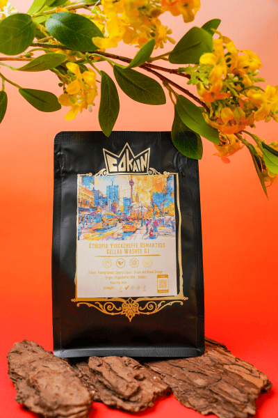 Cokain- 桂花烏龍 Ethiopia Yirgacheffe Osmanthus Cellar Washed G1