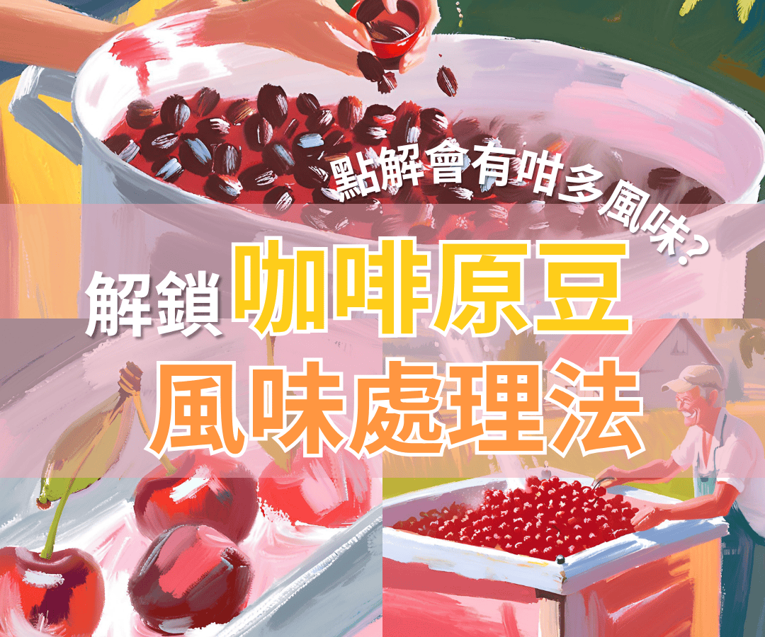 點解咖啡豆有咁多風味，一篇文章話你知