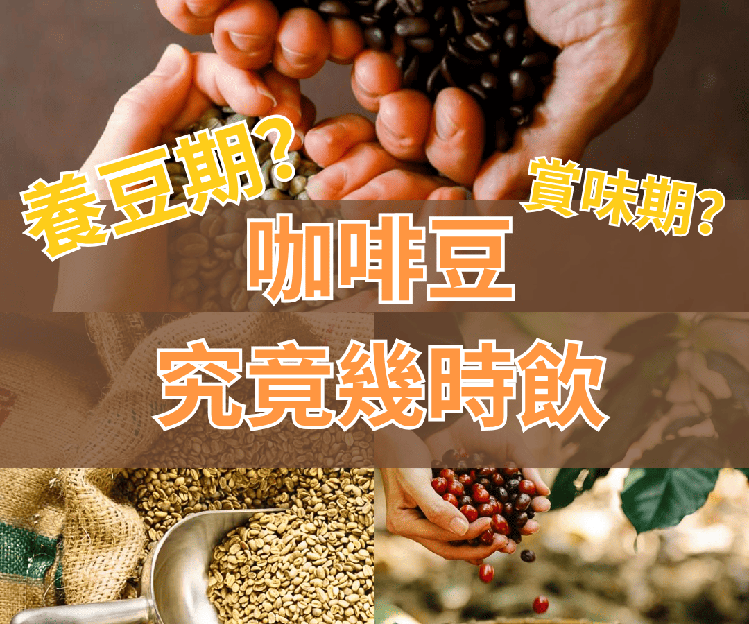 咖啡豆究竟幾時飲？最佳賞味期係幾時？