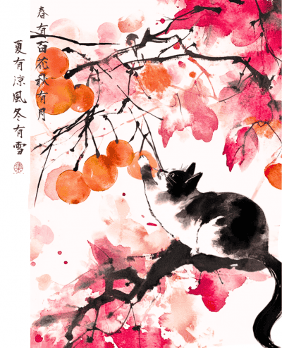 Cokain-百香草莓 衣索比亞 耶加雪菲 百香果日曬 G1