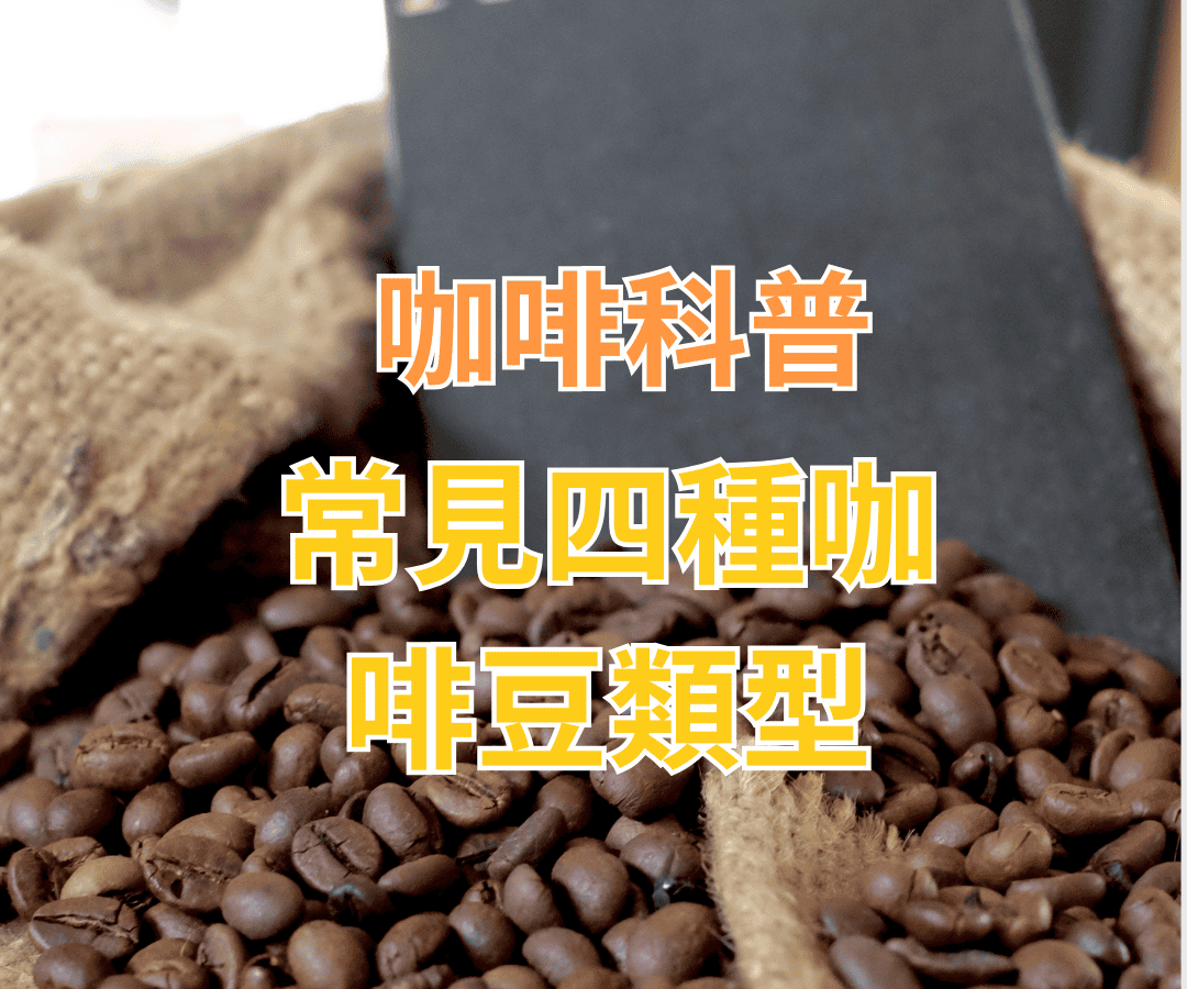 咖啡科普——咖啡豆常見4種類型