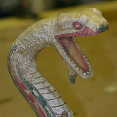 snake