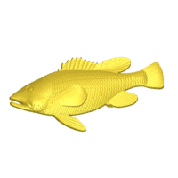 fish-3d-relief