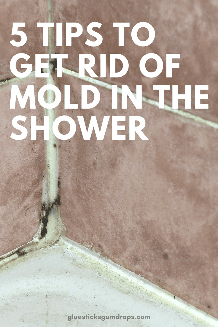 5 Simple Tips to Get Rid of Mold in the Shower - Glue Sticks and Gumdrops