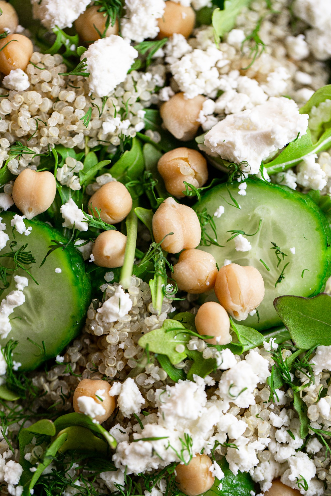 Cucumber Dill Quinoa Salad with Chickpeas and Arugula Tastes of Thyme
