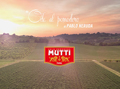 campo di pomodori