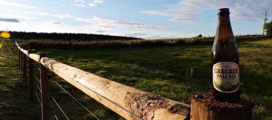 Beer on a fence post