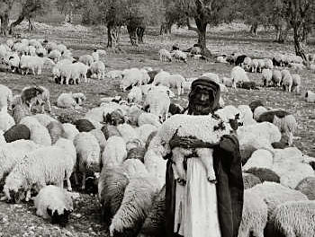 Lost: A Sheep, A Coin, & 2 Sons – Part 1