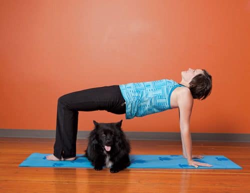 1011_dogyoga_0 1011_dogyoga_0