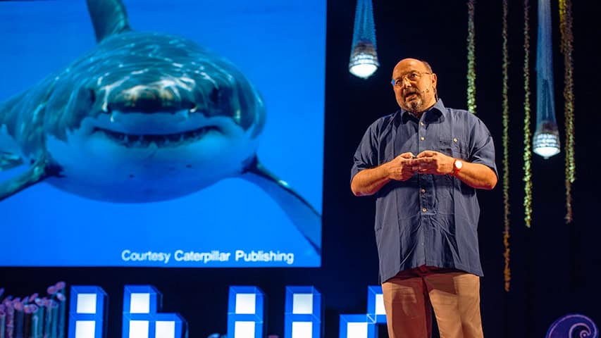 David Gallo: Underwater Astonishments