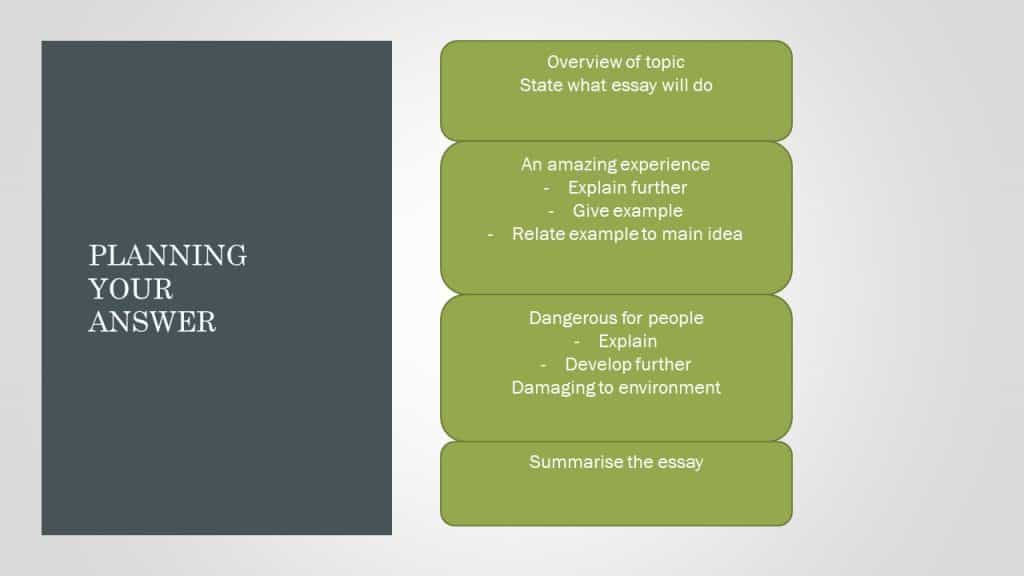 ielts essay plan