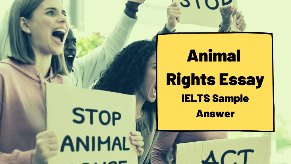 Animal Rights Essay Ielts Sample Answer Ted Ielts