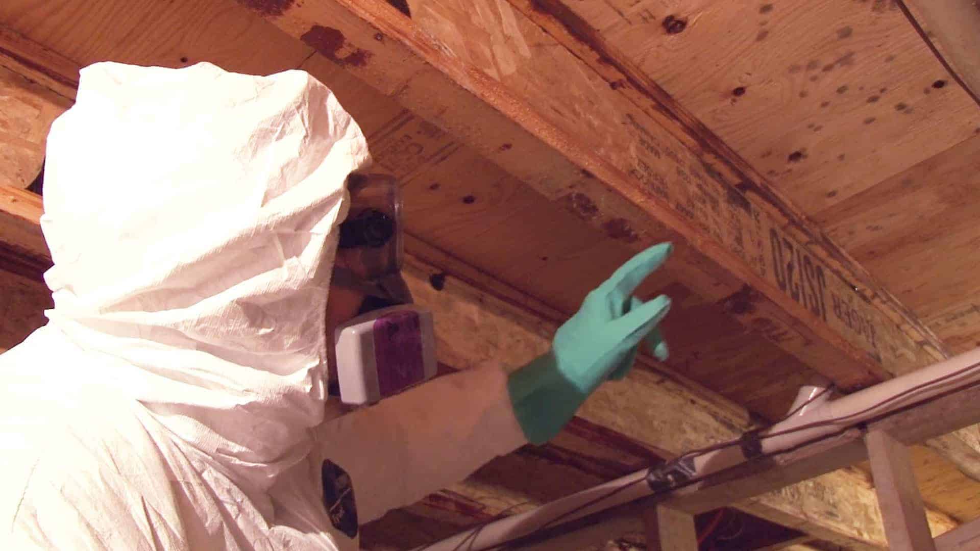 Attic - Restoration with Suit