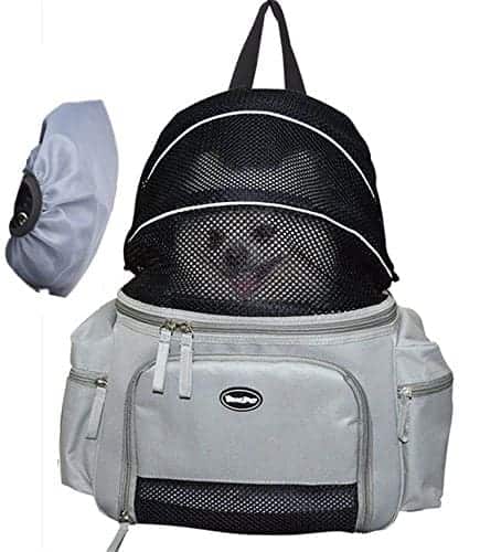 best pet carrier backpack