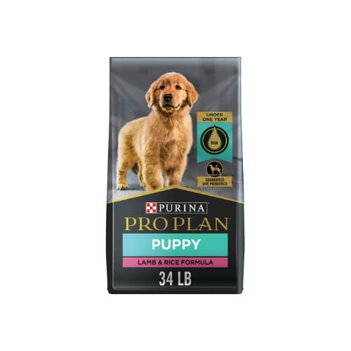 Best Dog Food For Huskies To Gain Weight In 2023 Husky Dog Club