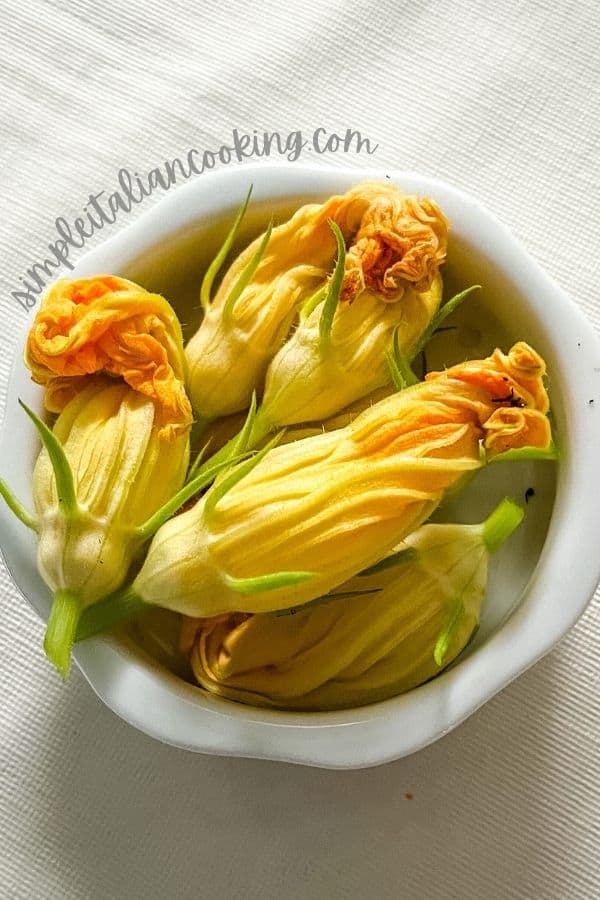 Recipes with Italian Squash Simple Italian Cooking