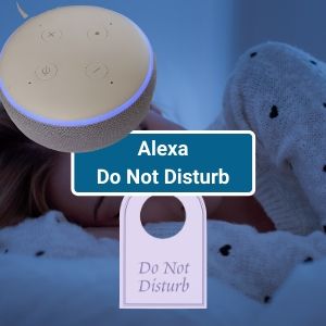Alexa Do Not Disturb