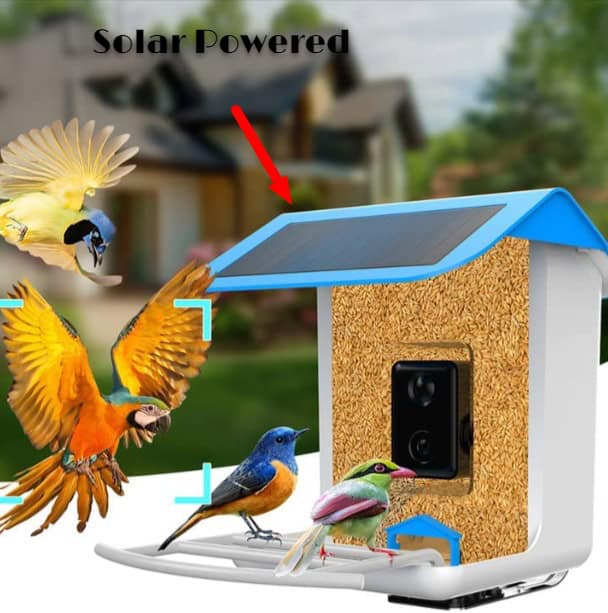 5 Best Solar Camera Bird Feeders Ultimate Guide » 2023