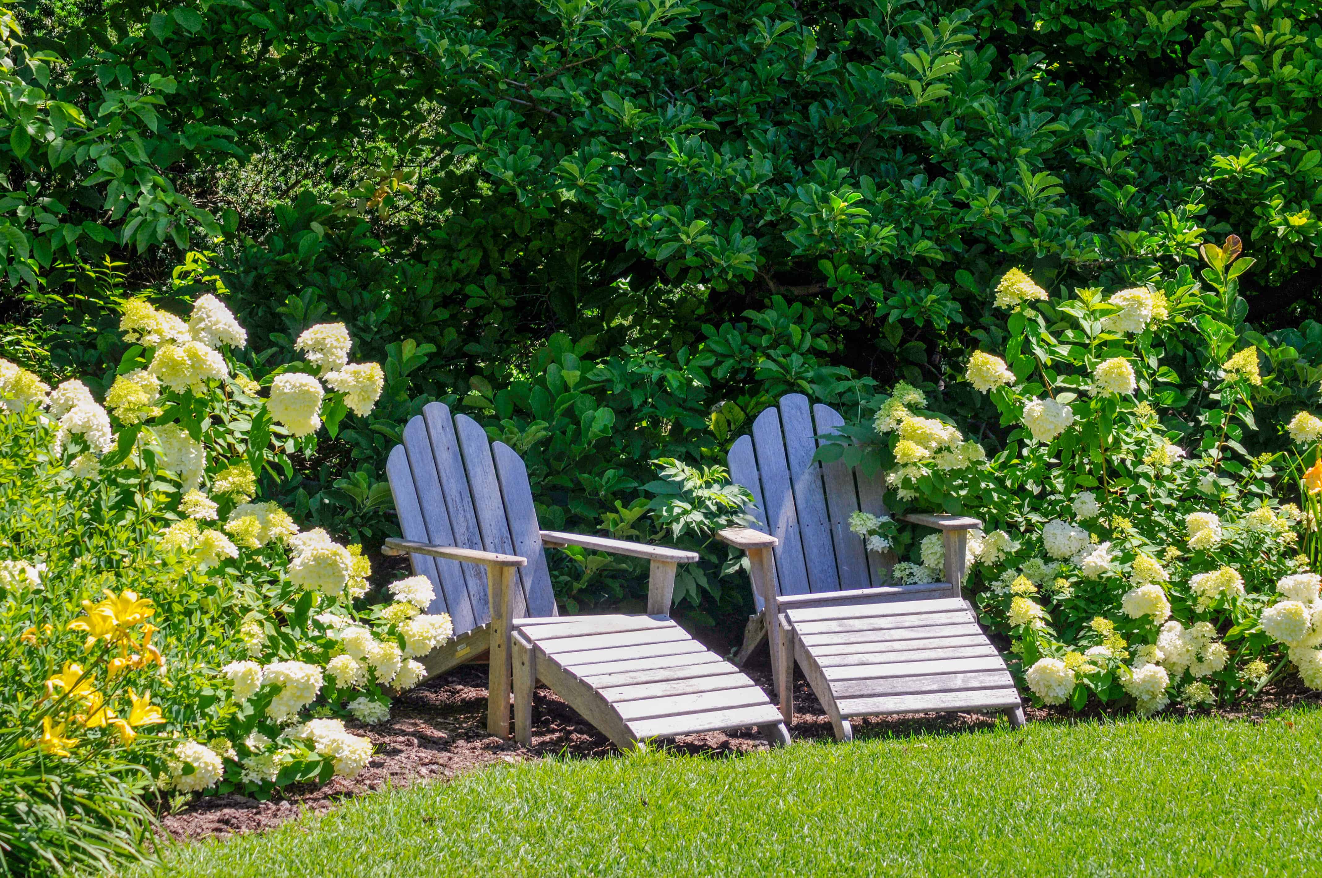 Two wooden lounge chairs sit beneath a mature tree canopy beside white hydrangeas, forming a quiet shaded garden room.
