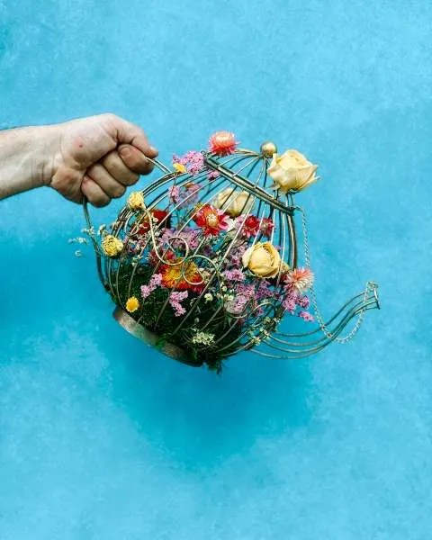 La tetera Bulgaria, pintada y decorada a mano en El Buen Jardinero, está inspirada en el arte eslavo y los jardines de Bulgaria. Es el país de Jari, nuestro community y responsable de marketing. Un sueño búlgaro decorado con flor seca y preservada.
Floristería con envío nacional